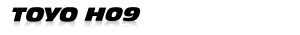 H09
